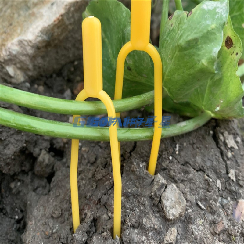 Neue langlebige Pflanzenhalterung Clips Weingarten Gemüse Tomate für Arten Pflanzen zum Aufhängen aus Kunststoff Clip