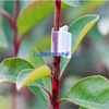 Günstige Neuankömmlinge 90 -Grad -Pflanzen -Bender wiederverwendbarer Clips Niedriges Stresstraining für das Pflanzentraining